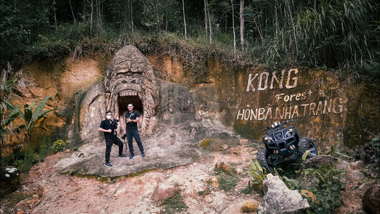 Kong Forest